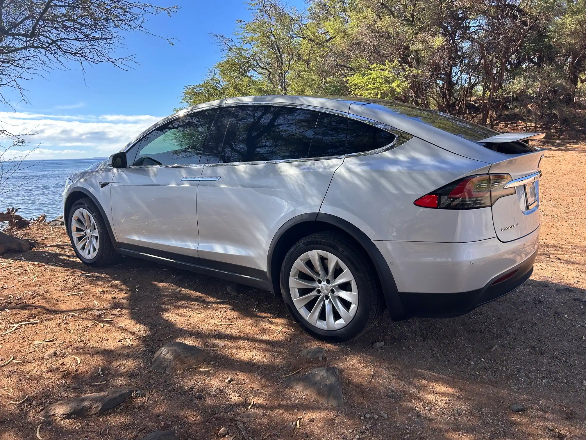 2018 Model X 100D